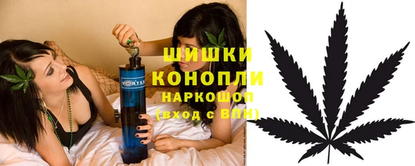 крисы Богородск