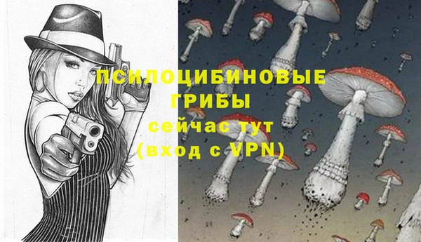 прущие крисы Белокуриха
