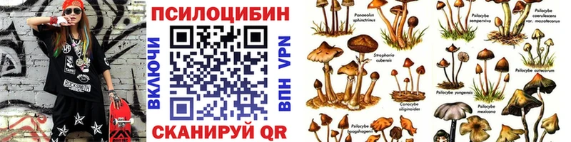 Галлюциногенные грибы мицелий  Краснослободск 